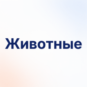 Животные