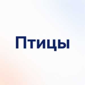 Птицы